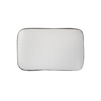 Подушка Penelope - Dream Away Medical Carbon 40*25*10