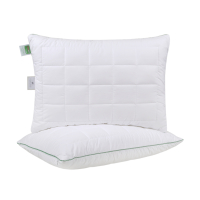 Подушка Penelope - ThermoClean 50*70